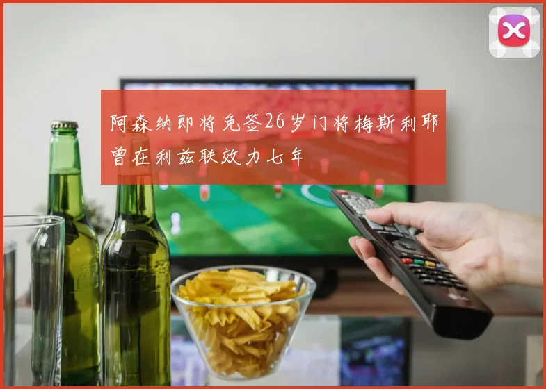 阿森纳即将免签26岁门将梅斯利耶曾在利兹联效力七年